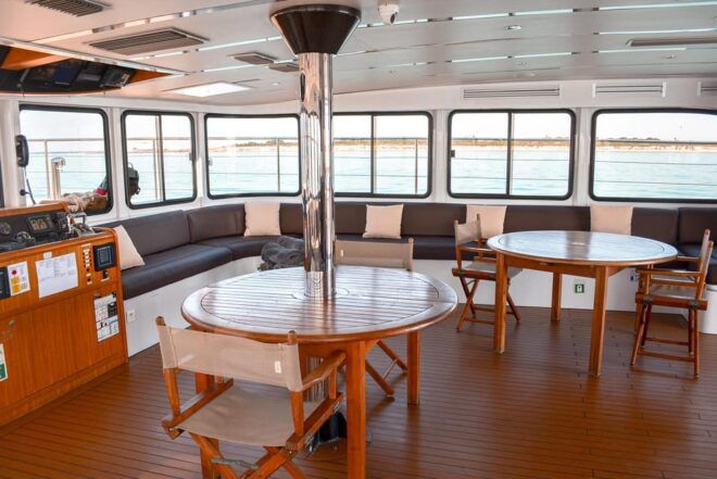 La Rochelle: Catamaran Experience (2h00) - Age and Participant Categories