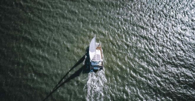 La Rochelle: Catamaran Experience (2h00) - Highlights of the Experience