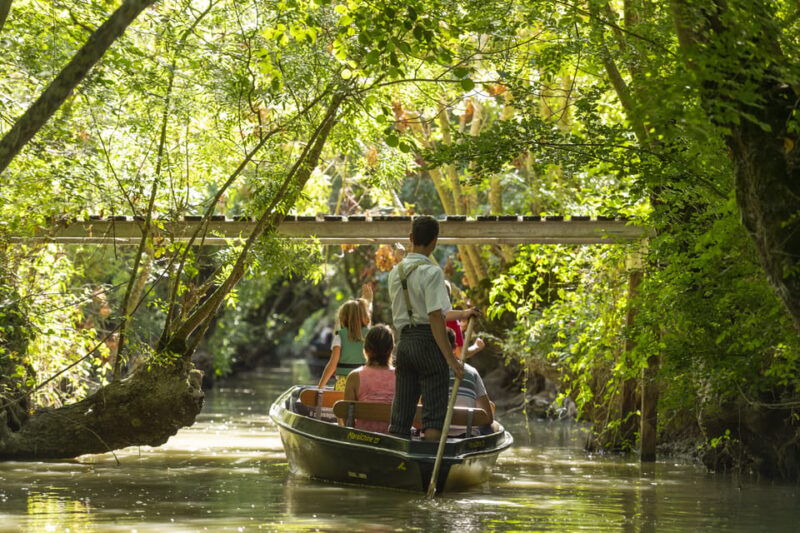 La Rochelle: Marais Poitevin Private Guided Tour by Car - Itinerary and Activities Highlights