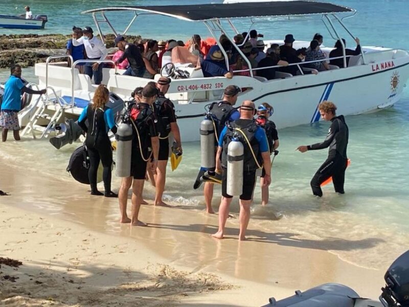 La Romana: 3-Day PADI Open Water Diver Course - Authentic Insights from Past Participants