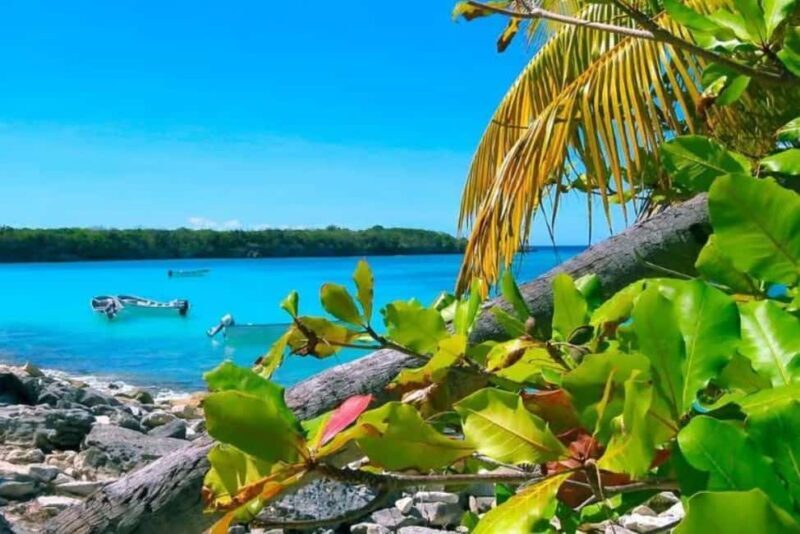 La Romana: Catalina Island Day Trip with Lunch & Drinks - The Journey Begins: Boat or Catamaran Ride