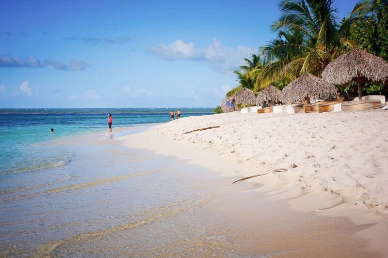 La Romana: Catalina Island Full-Day Snorkeling Tour - Who Is This Tour Best For?