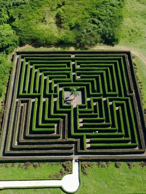 La Romana Half-Day Small Group Tour: Cave, Maze & Culture - Good To Know