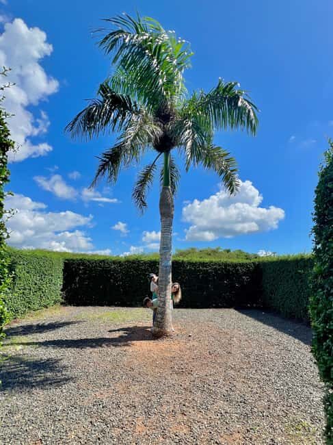 La Romana Half-Day Small Group Tour: Cave, Maze & Culture - Value for Money