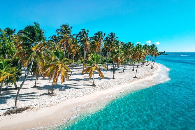 La Romana: Saona Crusoe VIP - Kreuzfahrtgäste - The Tour Experience: A Genuine Look