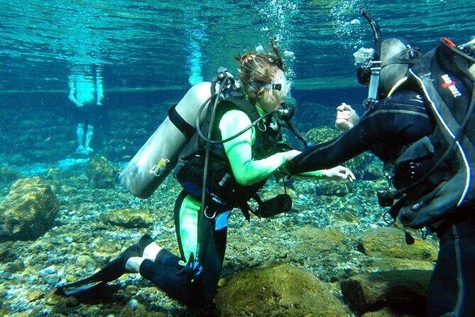 La Roqueta Discovery: Half-Day Beginner Scuba Adventure City Tour - The Experience from the Reviews