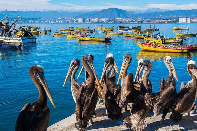 La Serena and Coquimbo City Tour (SIB) - Tour Overview