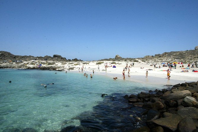 La Serena: Full Day to Isla Damas & Humbolt Pinguino National Reserve - Good To Know