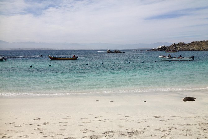 La Serena: Full Day to Isla Damas & Humbolt Pinguino National Reserve - Frequently Asked Questions