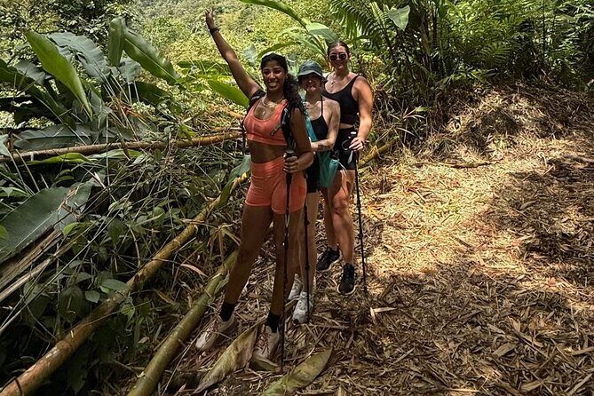 La Soufriere Volcano Hike /Topdawg Tours - The Descent and Optional Extended Tour