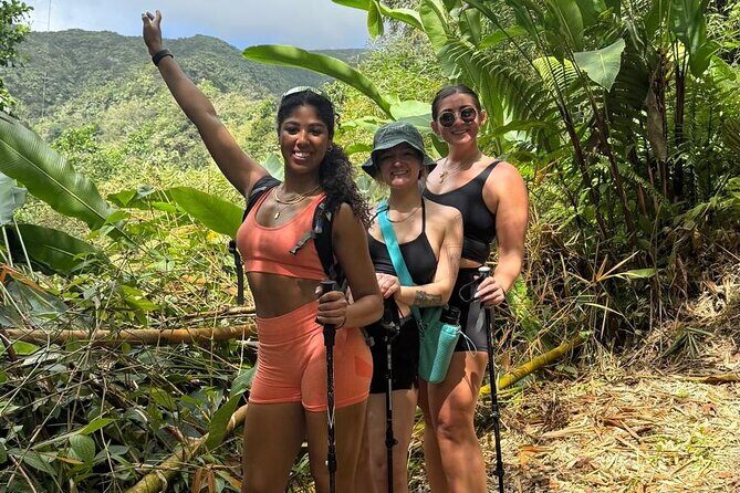 La Soufriere Volcano Hike /Topdawg Tours - The Value and Practicalities