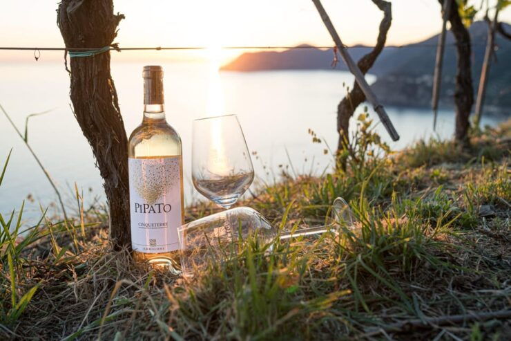 La Spezia: 4 Wines GOLD Tasting - Good To Know