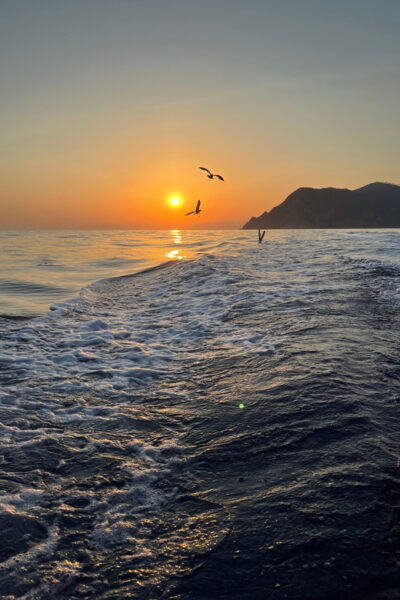 La Spezia: Cinque Terre Morning or Sunset Tour With Aperitif - Pricing and Discounts