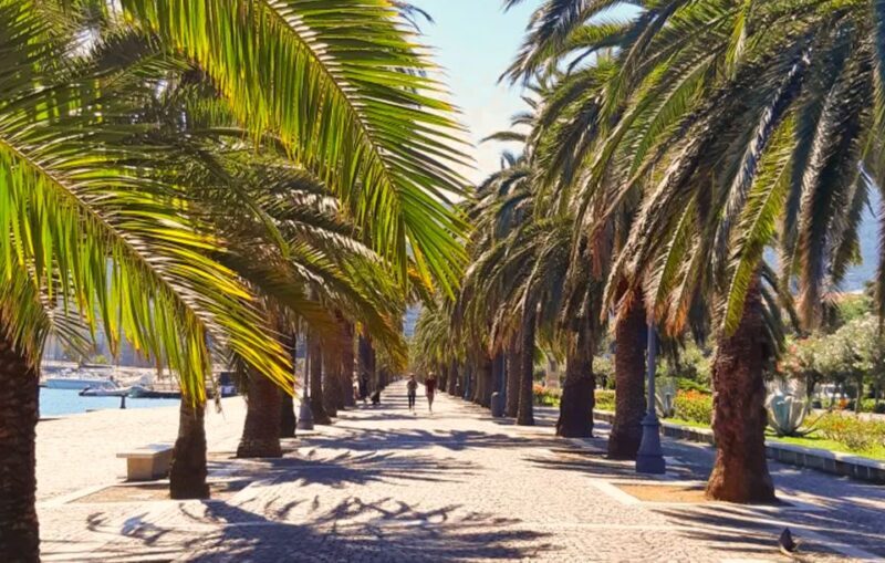 La Spezia: Guided Walking Tour with Italian-Inspired Music - The Experience: What You Can Expect