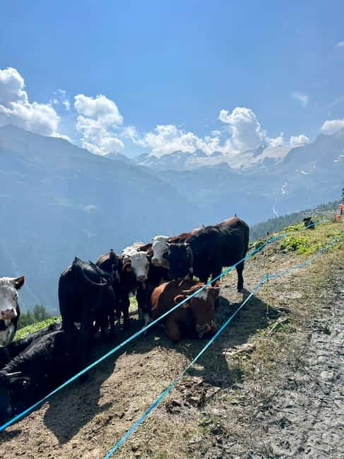 La Thuile: E-Bike ride to Discover Chaz Dura & Lake Verney - FAQ