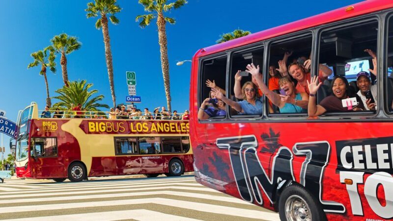 LA: TMZ Celebrity Tour & Big Bus 24-Hour Hop-on Hop-off Tour - What to Be Aware Of