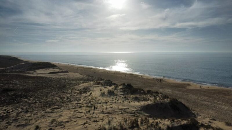 La Tremblade: Hiking in the Domanial Forest of Coubre - Good To Know