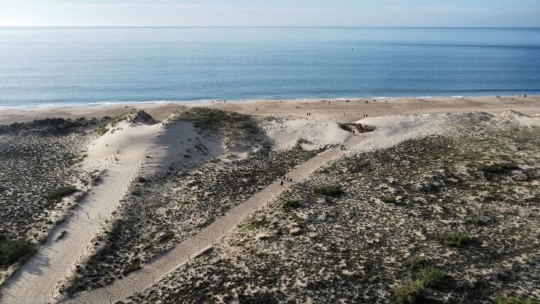 La Tremblade: Hiking in the Domanial Forest of Coubre - Highlights and Activities