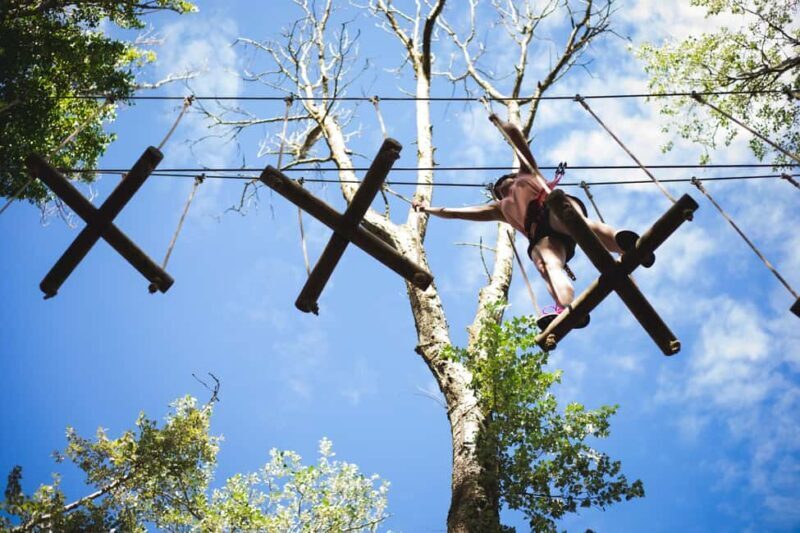 La Tremblade: Oasalis Parcours Adventure Park Entry - Good To Know