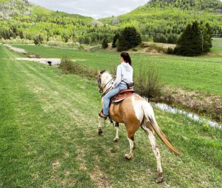 La Vallée: a Charming Introduction to Horseback Riding - Booking Details