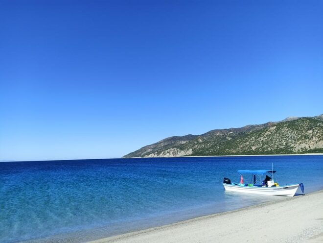 La Ventana: Scuba Diving Certified Divers Group Of 2 - Diving Highlights