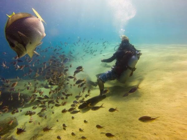 La Ventana: Scuba Diving Certified Divers Private Tour - Frequently Asked Questions