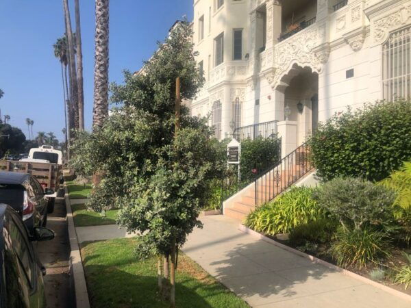 LA: West Side Guided Film Locations Tour - The Sum Up