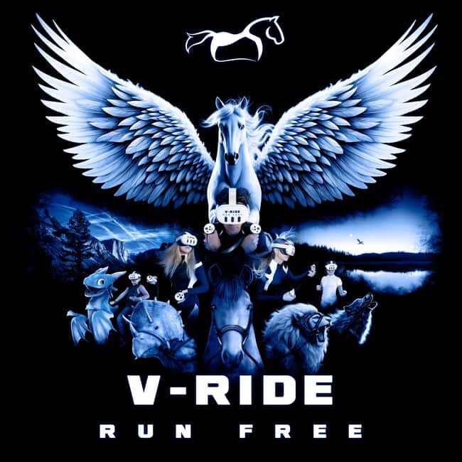 La Zenia: V-Ride  Virtual Reality Experience Ticket - Good To Know