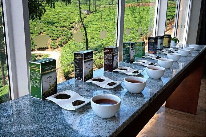 Labookellie Tea Factory Tour from Nuwara Eliya - Why This Tour Works Well