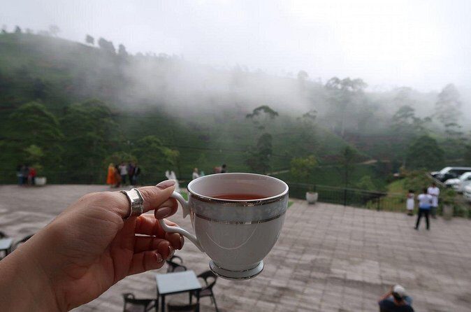 Labookellie Tea Factory Tour from Nuwara Eliya - Who Should Consider This Tour?