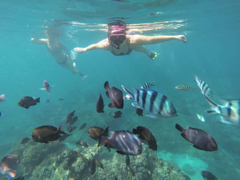 Labuan Amuk Bali: snorkeling tour with traditional boat - The Sum Up: Is This Tour Right for You?