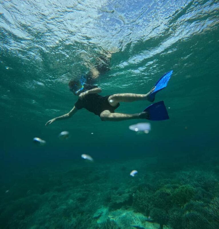 Labuan Bajo: 2D1N Komodo & Pink Beach Shared Boat Tour - Final Thoughts: Is It Worth It?