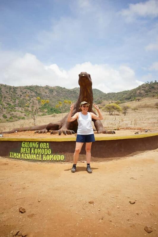 Labuan Bajo: 3-Day Komodo Liveaboard Adventure with VIP Boat - Who Should Consider This Tour?