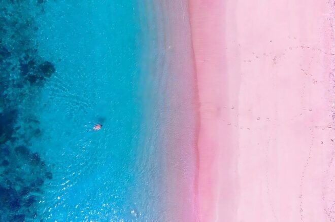 Labuan Bajo: a Day Tour of Komodo Island With 6 Destinations - Komodo Dragon Encounter