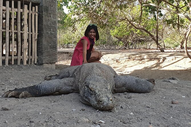 Labuan Bajo and Komodo 2-Night Guided Tour - Tour Inclusions and Highlights