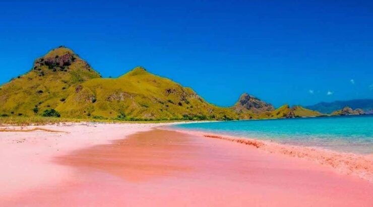 Labuan Bajo: Day Trip 6-Points Komodo Islands With Speedboat - Itinerary Details