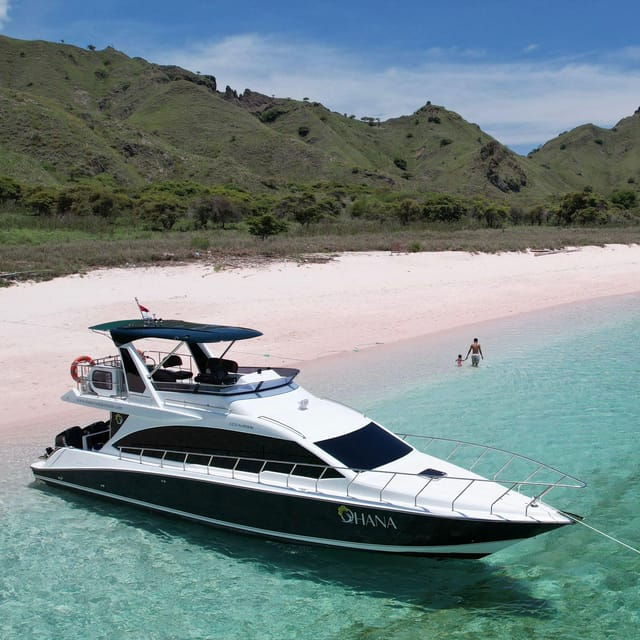 Labuan Bajo: Day Trip 6-Points Komodo Islands With Speedboat - Important Travel Information