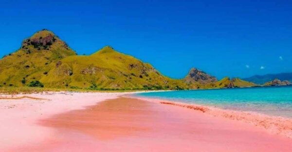 Labuan Bajo: Day Trip 6-Points Komodo Islands With Speedboat - Booking Your Adventure