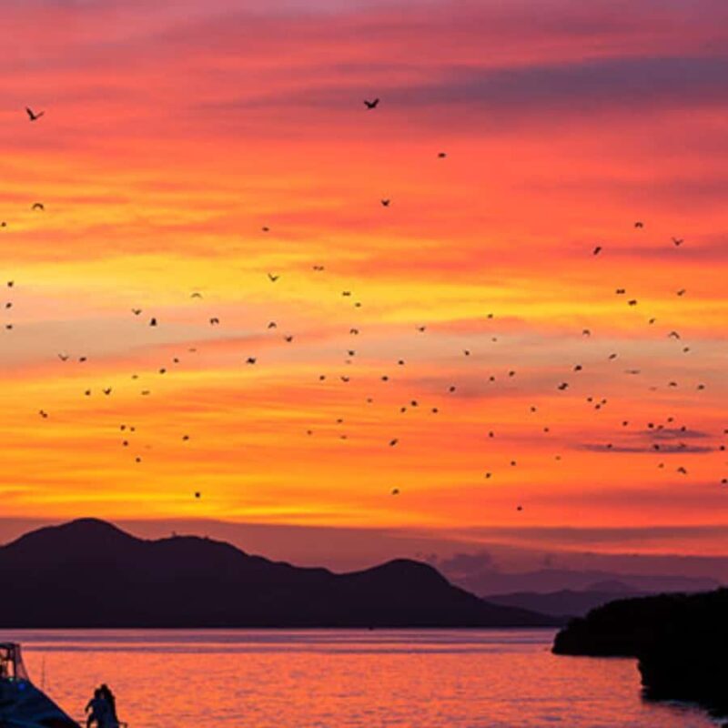 Labuan Bajo Explore 3 Destination (Kelor, Manjarite, Kalong) - Who Should Consider This Tour?  