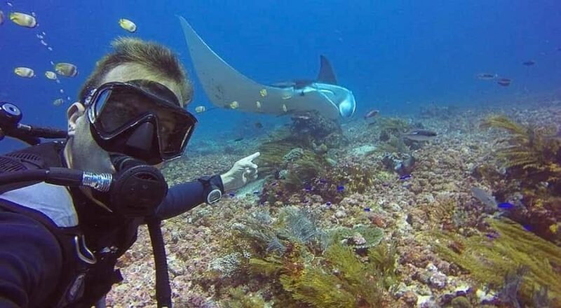 Labuan Bajo  First Dive in Komodo Sea - The Itinerary in Detail