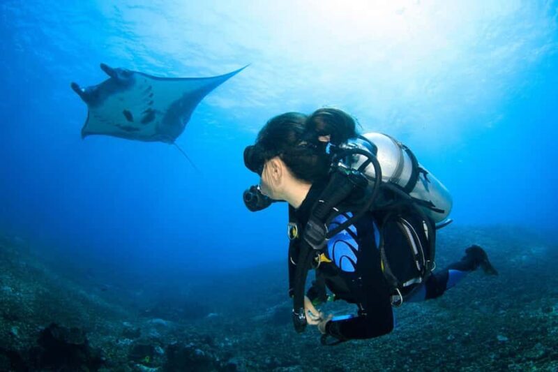 Labuan Bajo  First Dive in Komodo Sea - Practical Details and Considerations