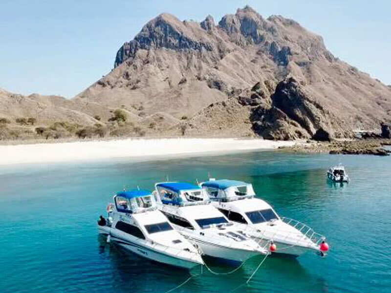 Labuan Bajo Full-Day Speedboat Tour by East Cruise Komodo - Komodo Island: a ranger-led walk, not a wildlife guarantee