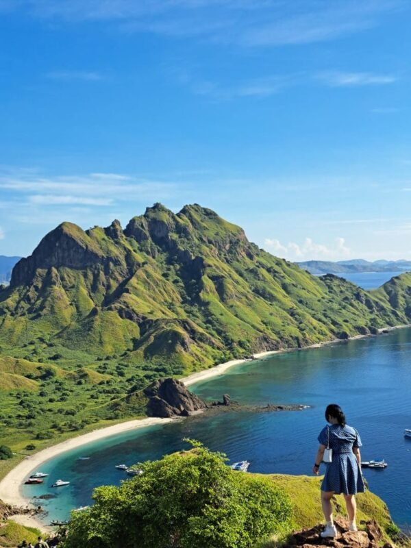Labuan Bajo Full-Day Speedboat Tour by East Cruise Komodo - Speedboat comfort, food and the extra costs