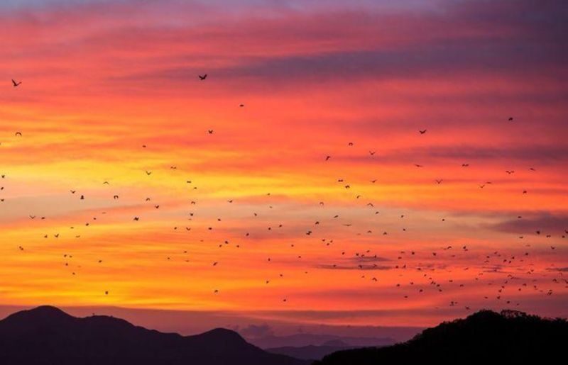 Labuan Bajo Half-Day Sunset Tour - Price, extra charges and the value question