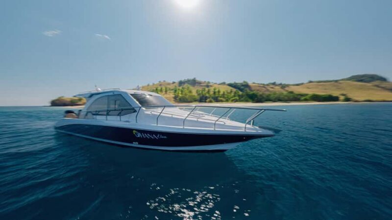 Labuan Bajo: Komodo National Park Full-Day Speedboat Tour - Pricing and Value