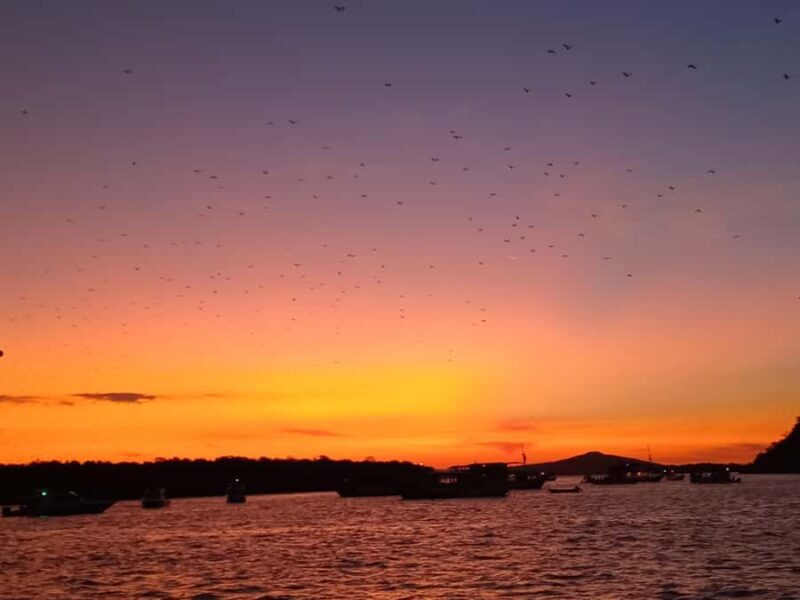 LABUAN BAJO: Komodo Shared Tour With Speed Boat - Good To Know
