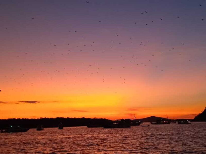 LABUAN BAJO: Komodo Shared Tour With Speed Boat - The Value of the Experience