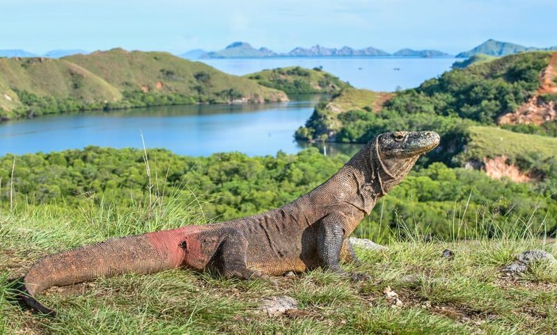 Labuan Bajo Multi-Day Tour With Acommodation - Choosing a hotel and judging the value
