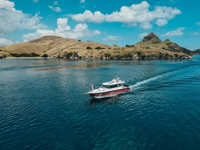 Labuan Bajo: One Day Komodo Tour & Snorkeling - An In-Depth Look at the Komodo Tour Experience  