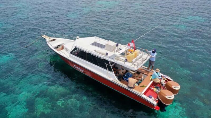 Labuan Bajo: One Day Komodo Tour & Snorkeling - Good To Know